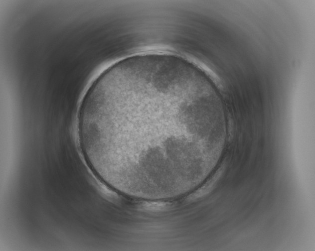 X0000111811470200909031420
