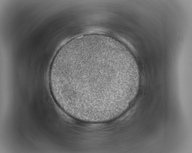 X0000111811471200909031420