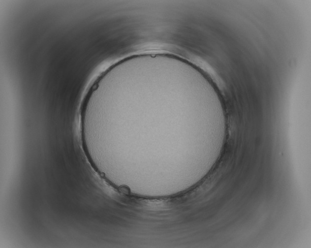 X0000111811472200909031420