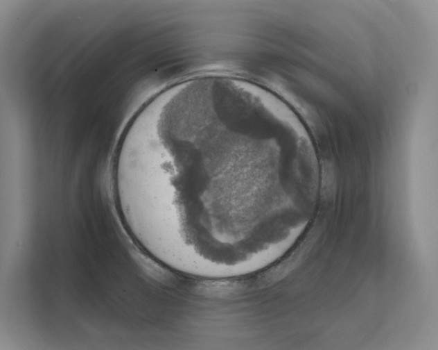 X0000111811474200909031420
