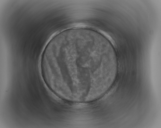 X0000111811475200909031420