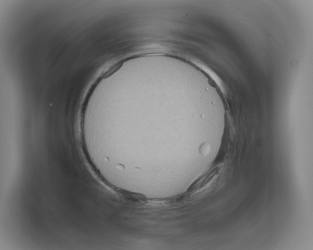 X0000111811477200909031420
