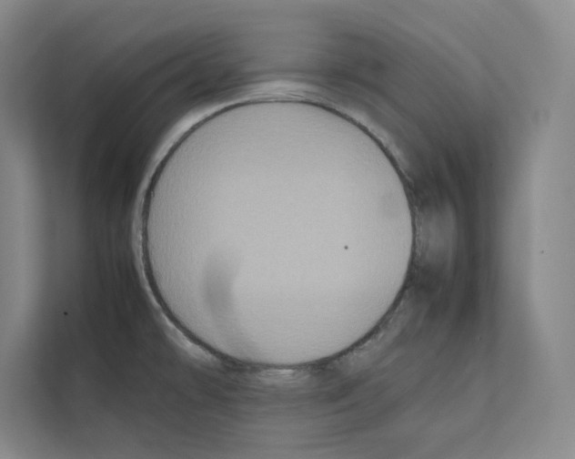 X0000111811478200909031420