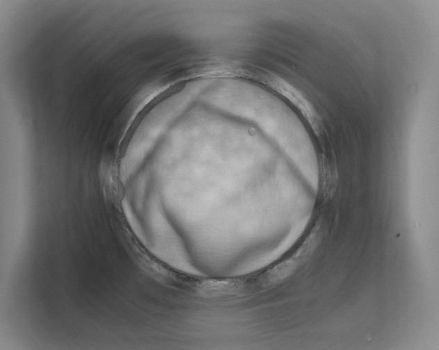 X0000111811481200909031420