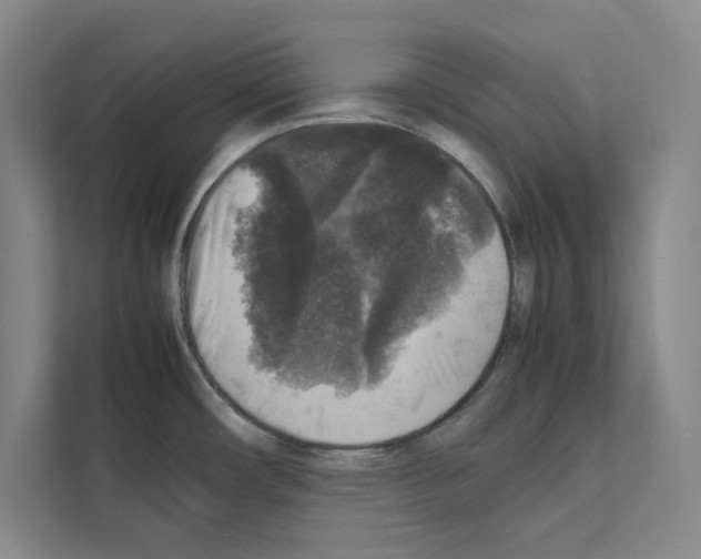 X0000111811482200909031420