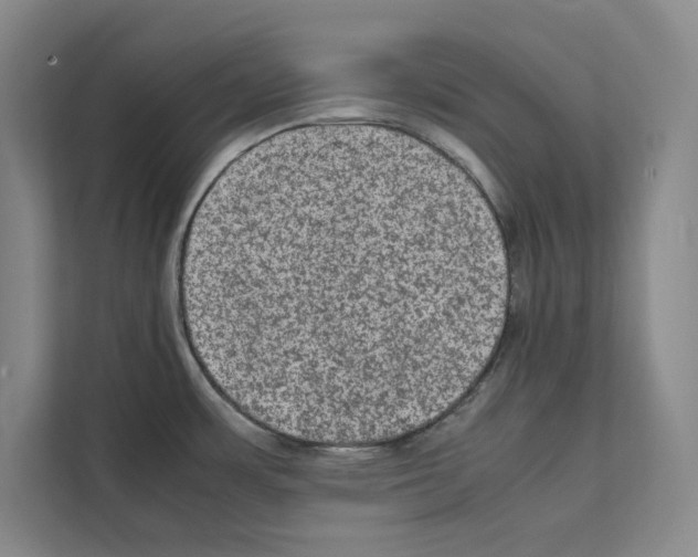 X0000111811483200909031420