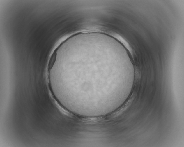 X0000111811485200909031420