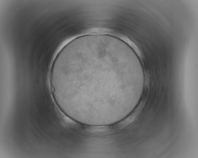X0000111811486200909031420