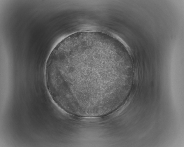 X0000111811487200909031420