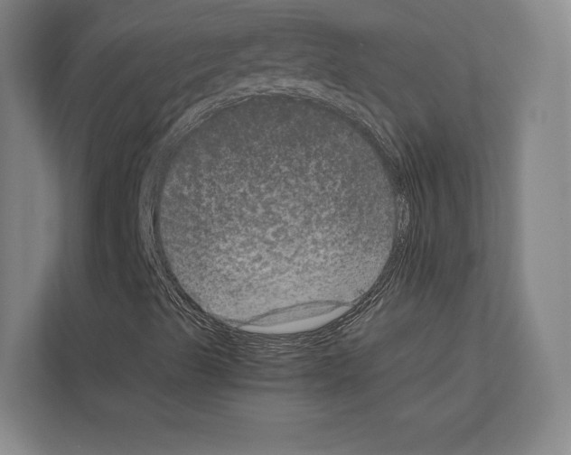 X0000111811489200909031419
