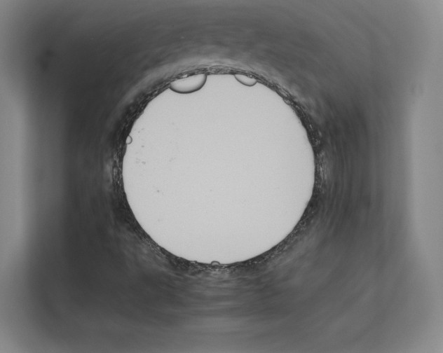 X0000111811495200909031420