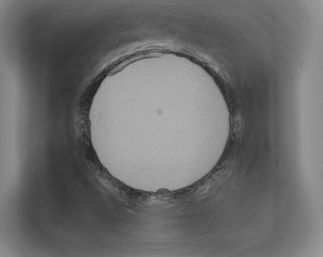 X0000111811496200909031420