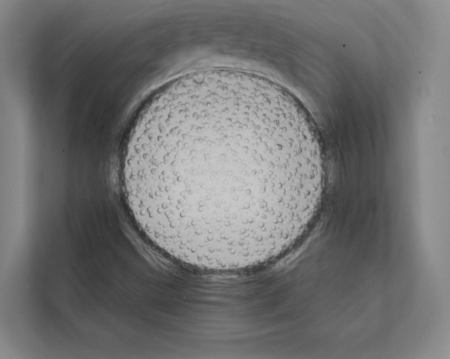 X0000111811499200909031420