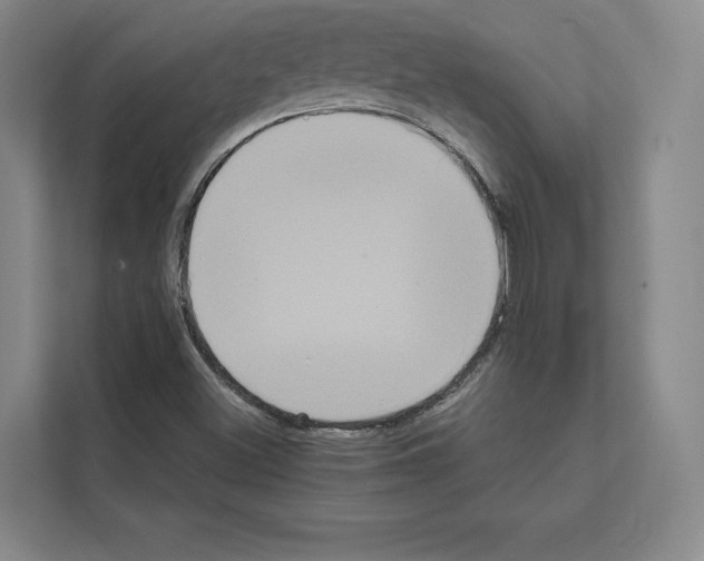 X0000111811500200909031420