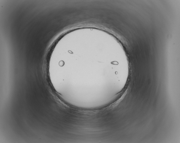 X0000111811502200909031420