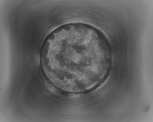 X0000111811505200909031420