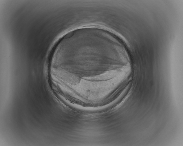 X0000111811506200909031420