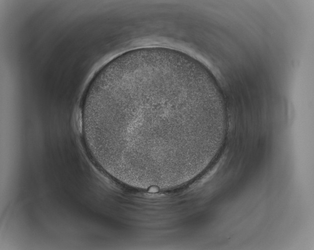 X0000111811509200909031420