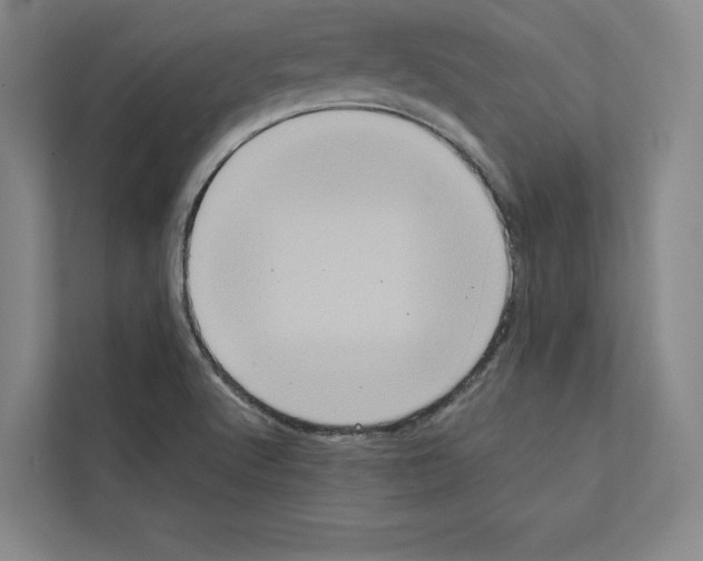 X0000111811512200909031420