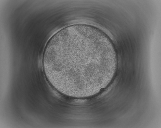 X0000111811513200909031420