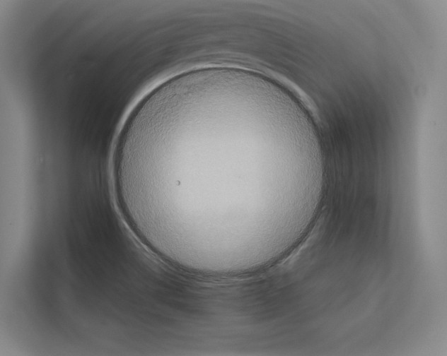 X0000111811514200909031420
