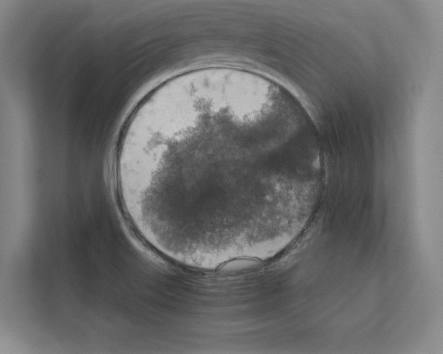 X0000111811515200909031420