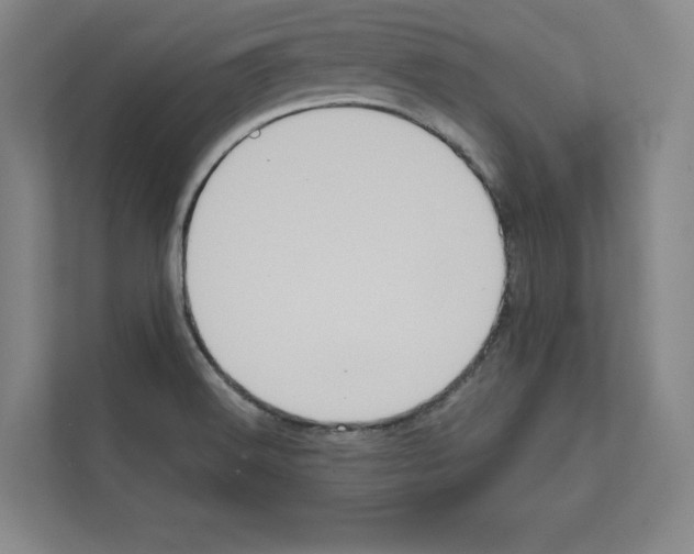 X0000111811516200909031420