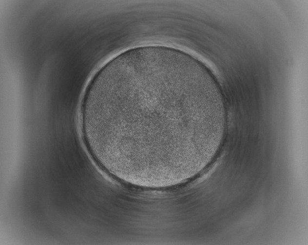 X0000111811517200909031420