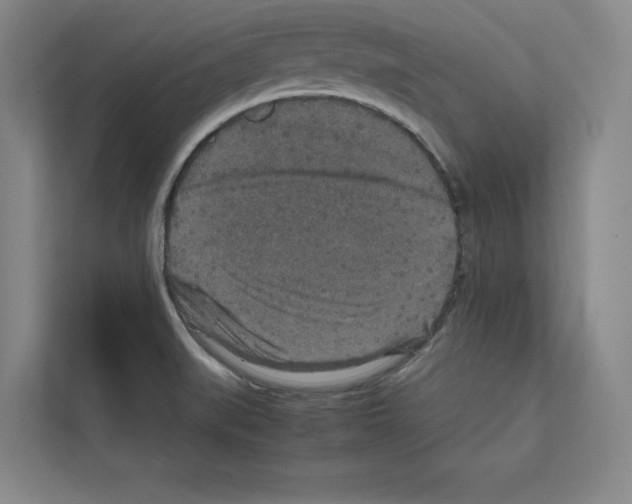 X0000111811519200909031420