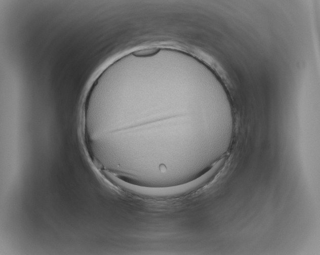 X0000111811520200909031420