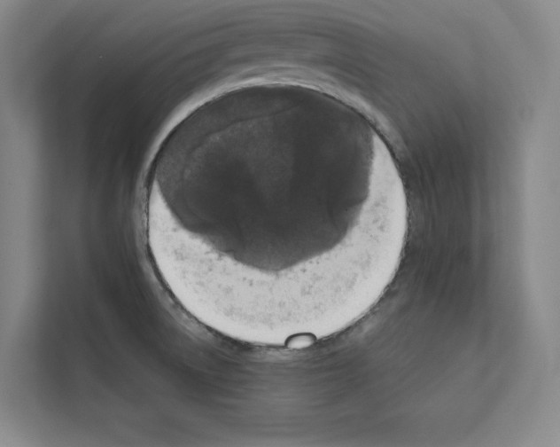 X0000111811522200909031420