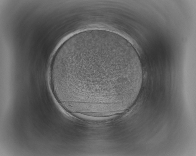 X0000111811523200909031420