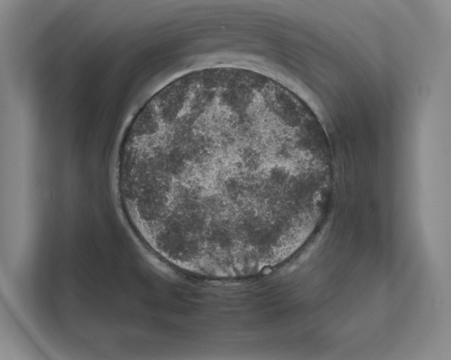 X0000111811525200909031420