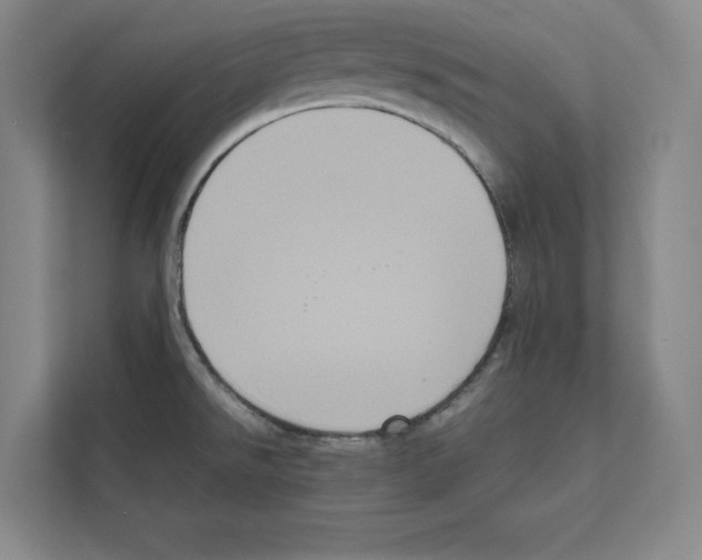 X0000111811526200909031420