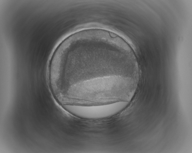 X0000111811527200909031420