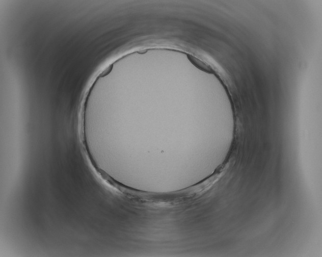 X0000111811528200909031420