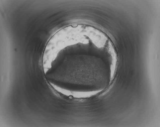 X0000111811529200909031420