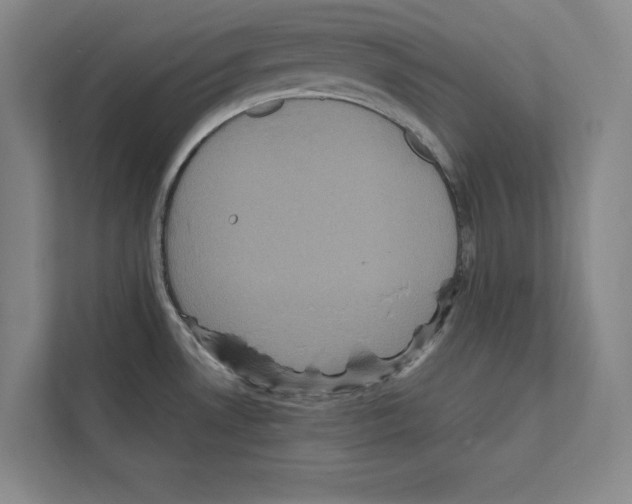 X0000111811530200909031420