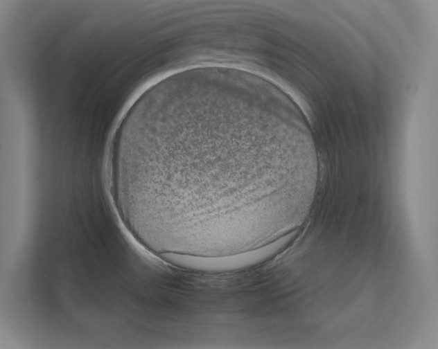 X0000111811531200909031420