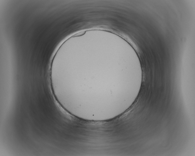 X0000111811532200909031420