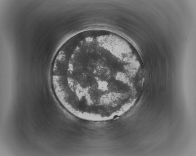 X0000111811533200909031420