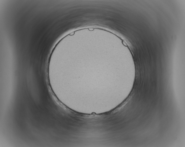 X0000111811534200909031420