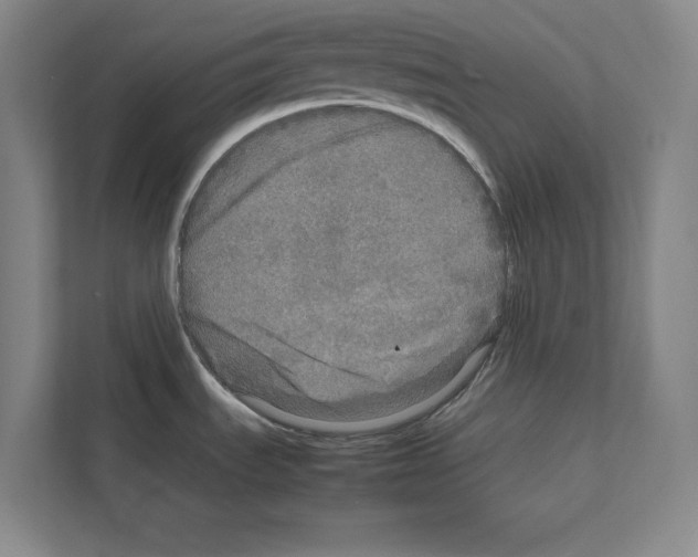 X0000111811535200909031420