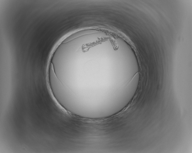 X0000111811536200909031420
