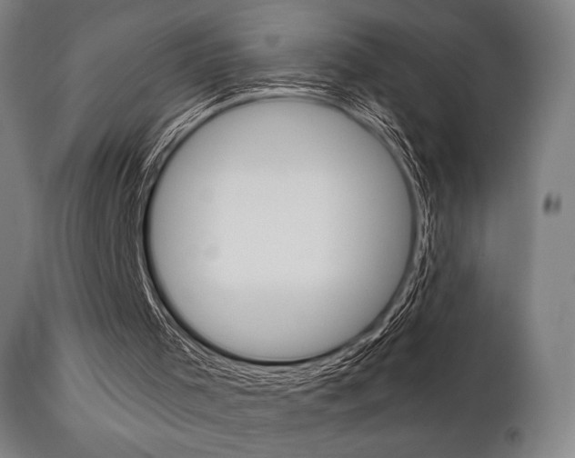 X0000111820001200907231036