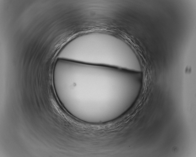 X0000111820002200907231036