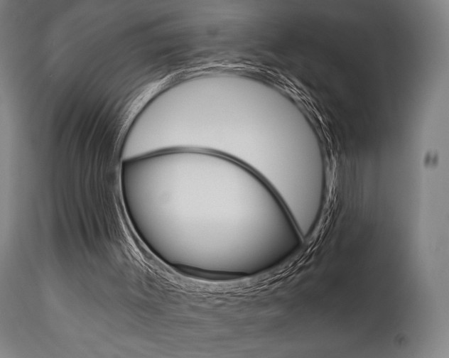 X0000111820003200907231036