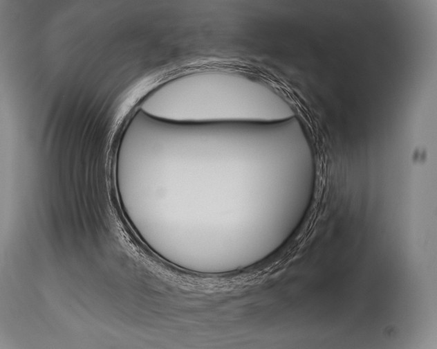 X0000111820006200907231036