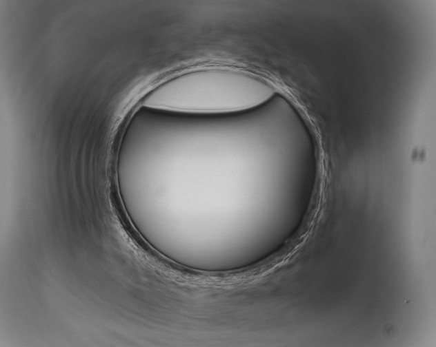 X0000111820007200907231036