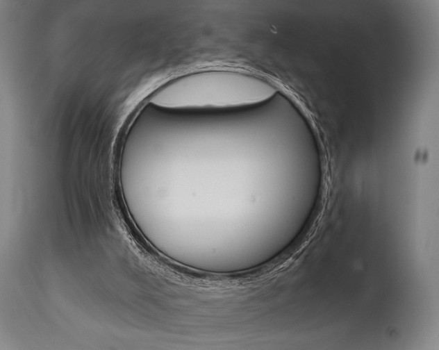 X0000111820008200907231036